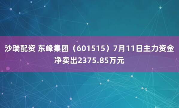 沙瑞配资 东峰集团（601515）7月11日主力资金净卖出2375.85万元