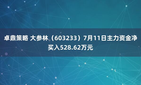 卓鼎策略 大参林（603233）7月11日主力资金净买入528.62万元