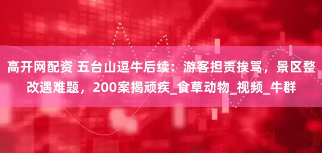高开网配资 五台山逗牛后续：游客担责挨骂，景区整改遇难题，200案揭顽疾_食草动物_视频_牛群