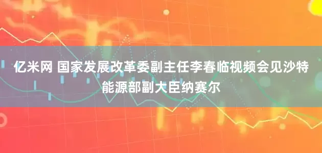 亿米网 国家发展改革委副主任李春临视频会见沙特能源部副大臣纳赛尔