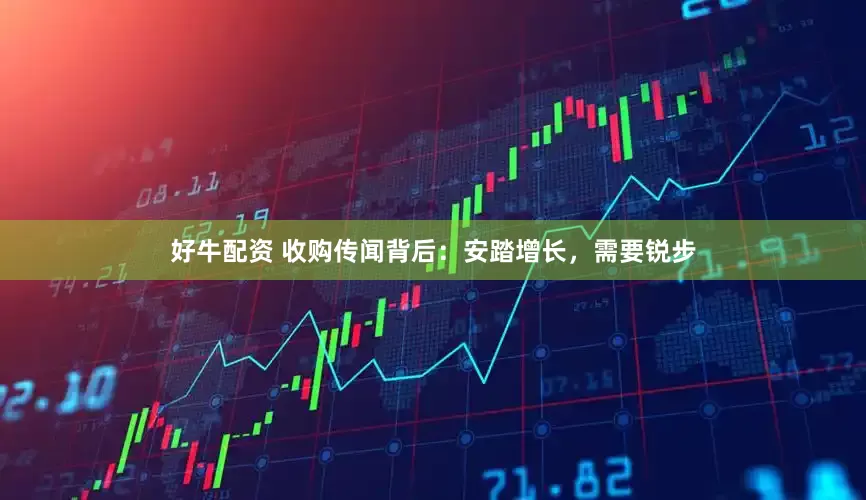 好牛配资 收购传闻背后：安踏增长，需要锐步