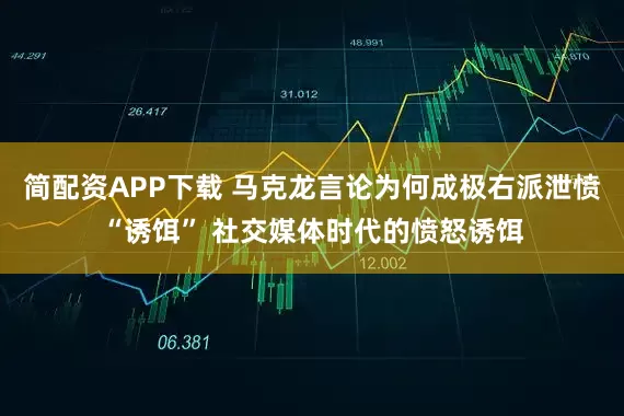 简配资APP下载 马克龙言论为何成极右派泄愤“诱饵” 社交媒体时代的愤怒诱饵