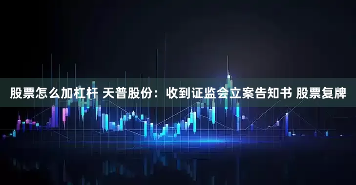 股票怎么加杠杆 天普股份：收到证监会立案告知书 股票复牌
