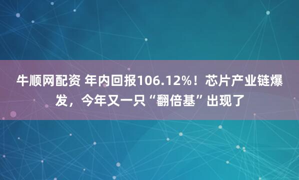 牛顺网配资 年内回报106.12%！芯片产业链爆发，今年又一只“翻倍基”出现了